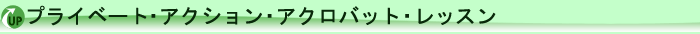 プライベート・アクション・アクロバット・レッスン